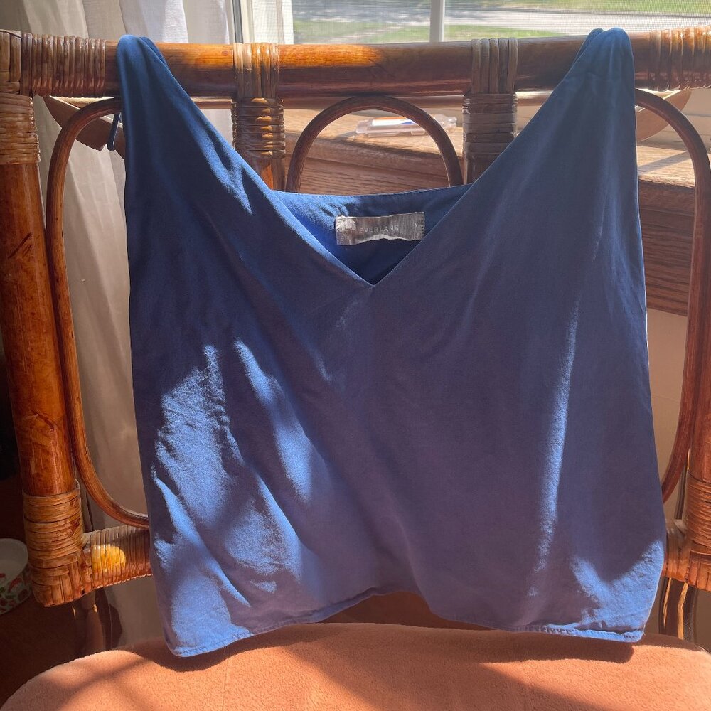 Everlane Blue Washable Silk V Neck Camisole